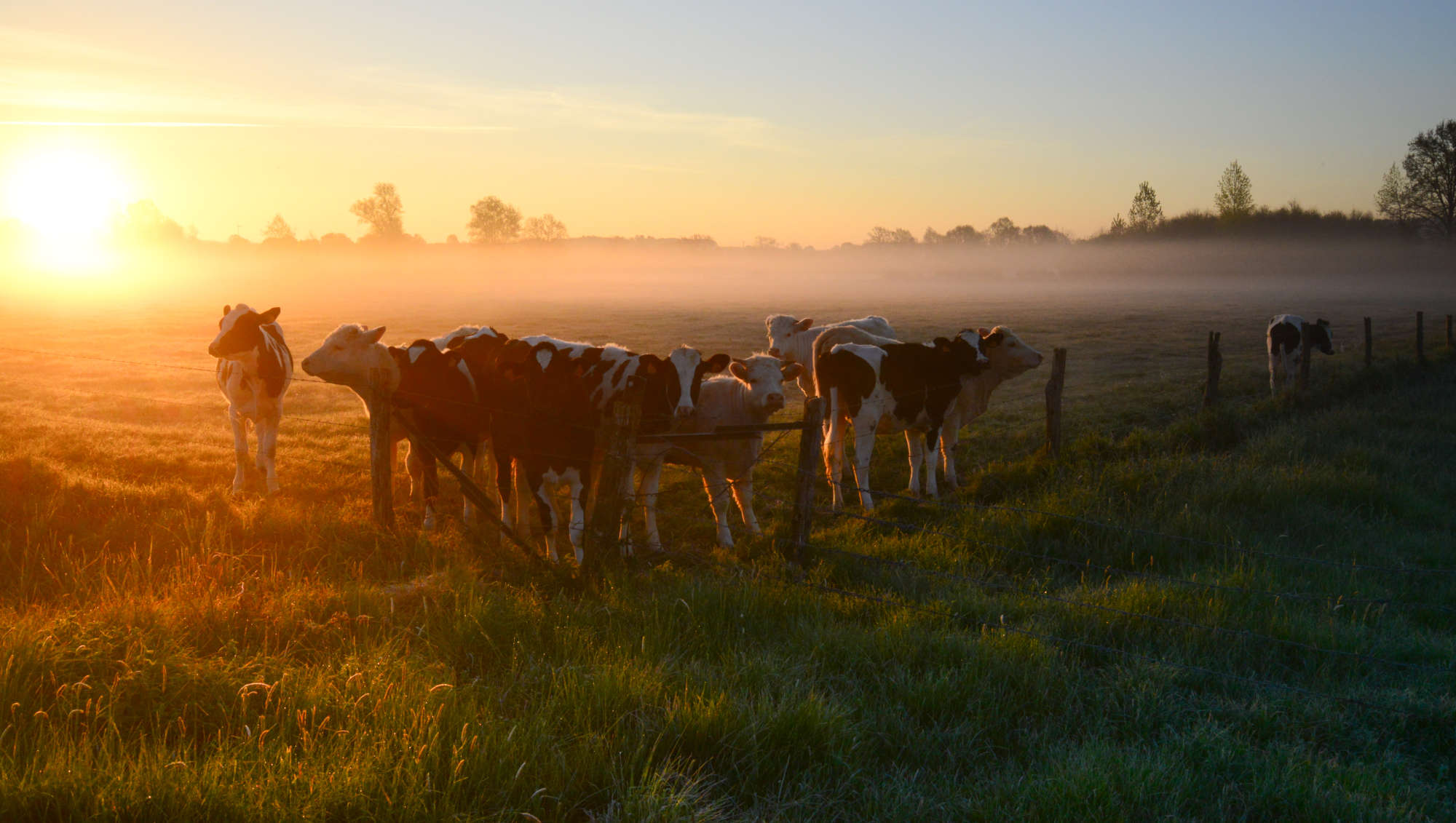 Gite de groupe avec piscine dans les Ardennes, La Charmille et Le Cottage Abel à Rubigny
