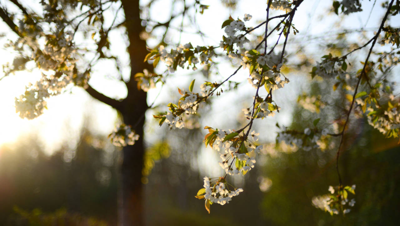 Séjour bien-être dans les Ardennes